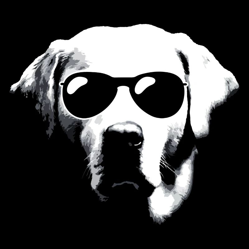 Labrador cool avec des lunettes de soleil pour Labbi