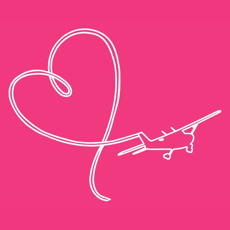 Pilot VFR aviation aircraft flight instructor