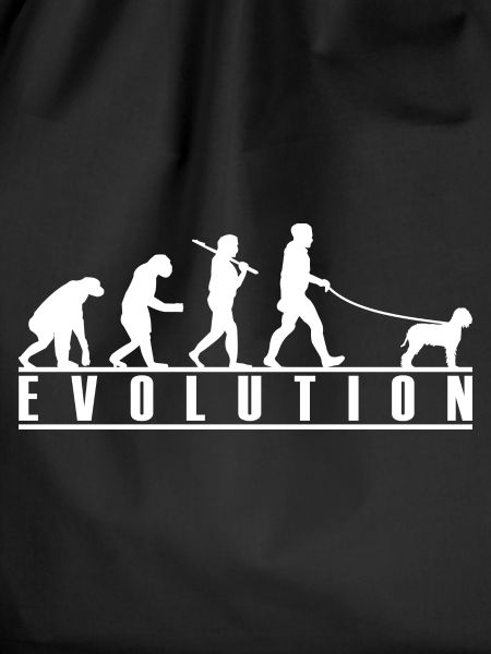 Lagotto Romagnolo Evolution
