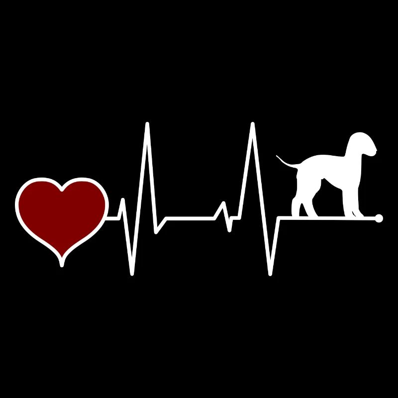 Bedlington Terrier Rythme cardiaque