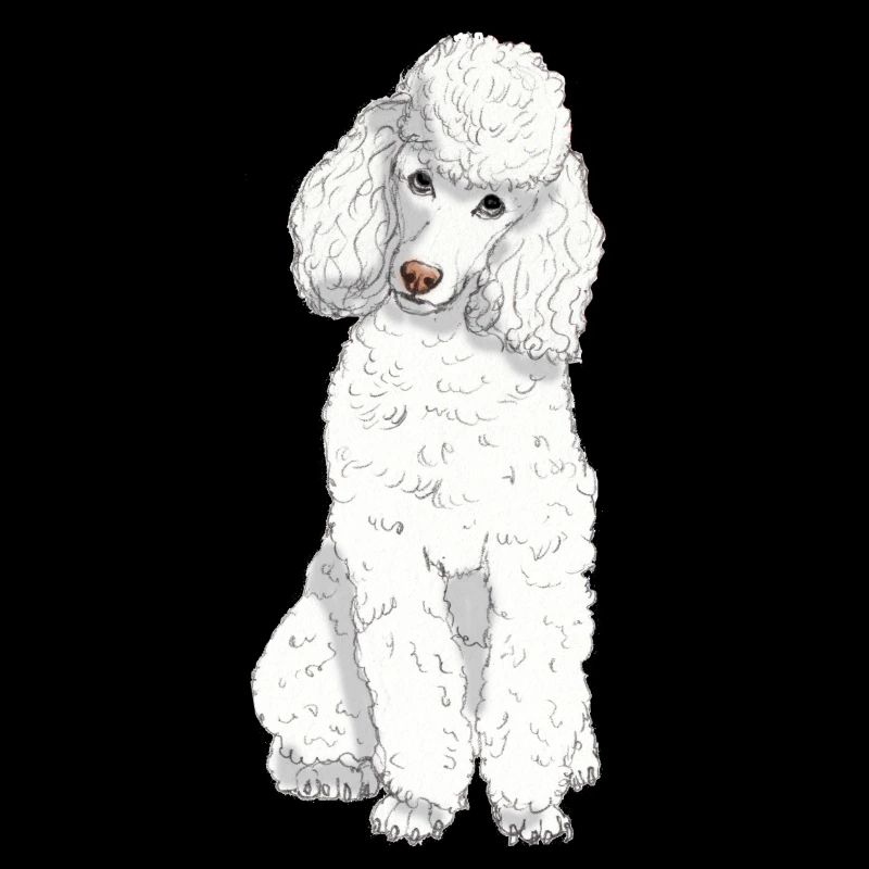 Caniche jouet blanc