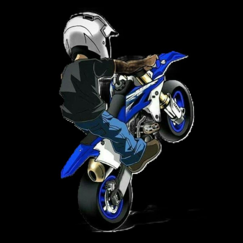 Stunt bike