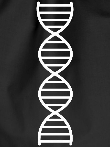 DNA Double Strand