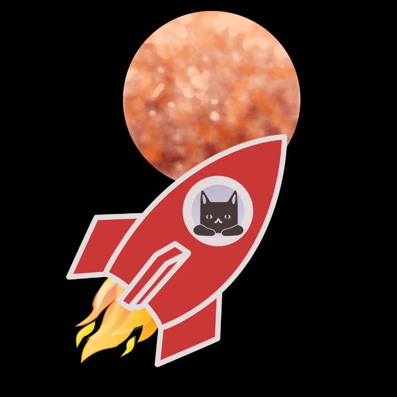 Space Cat