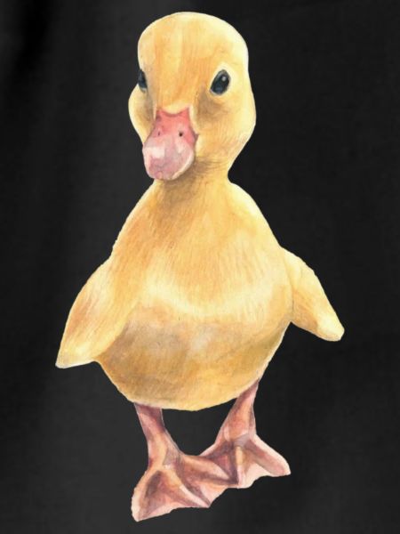Chick