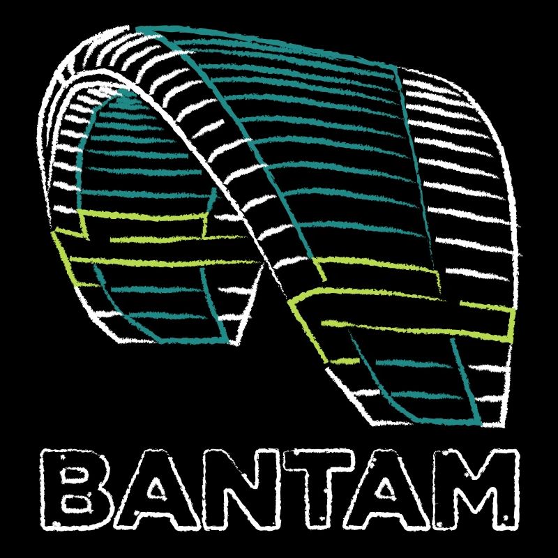 Bantam Nova Paraglider