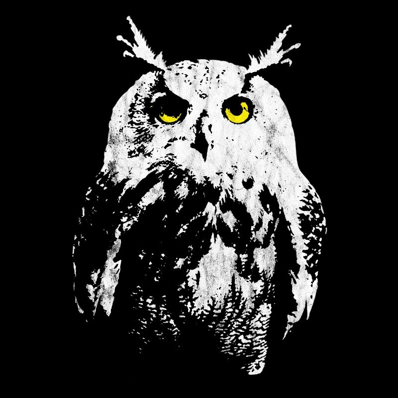 owl
