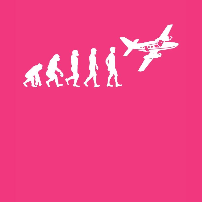 Evolution Flugzeug Flieger Pilot T-Shirt Geschenk
