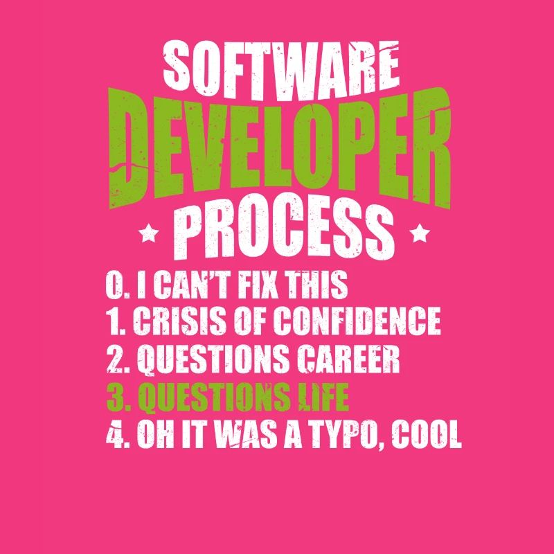 Software developer programmer software