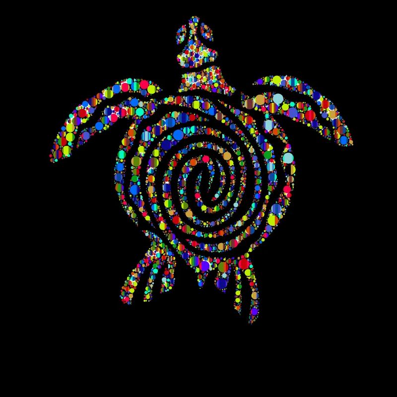 Mandala turtle gift t-shirt