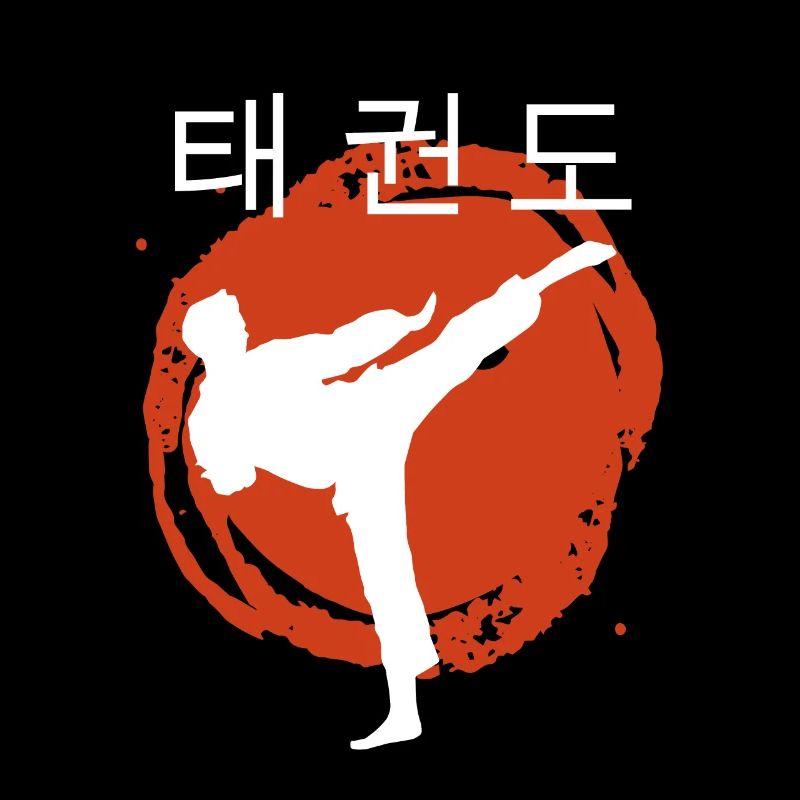 Taekwondo T-Shirt Gift