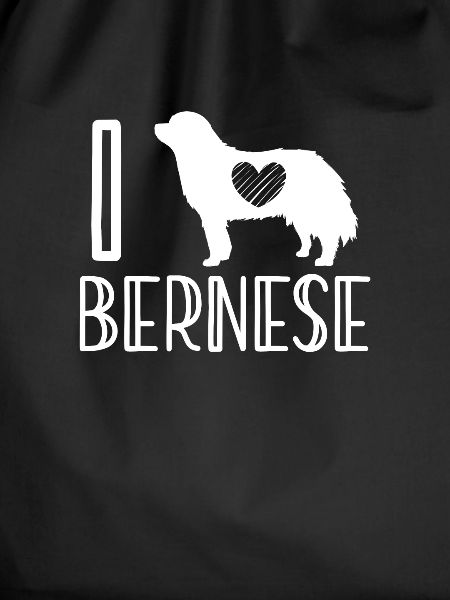Bernese Mountain Dog