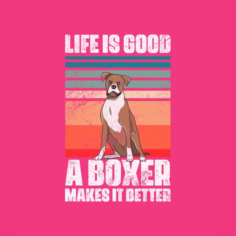 Boxer Dog