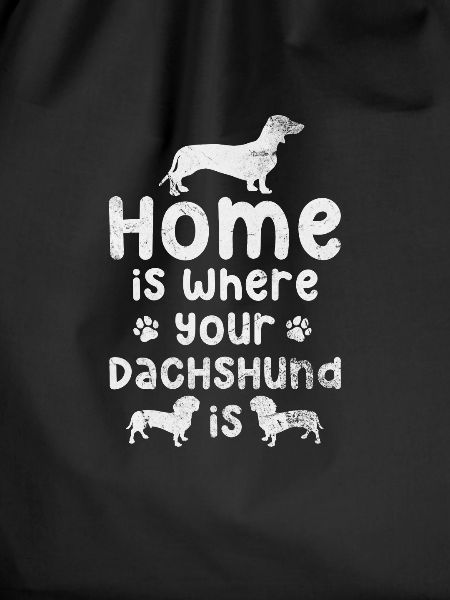 Dachshund