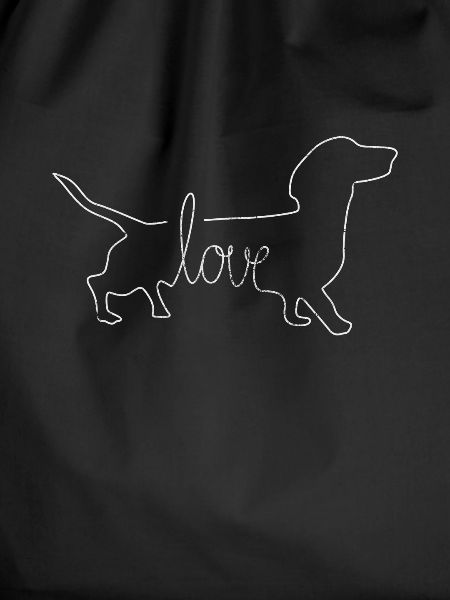 Dachshund