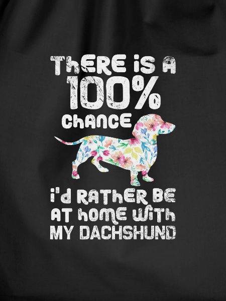 Dachshund