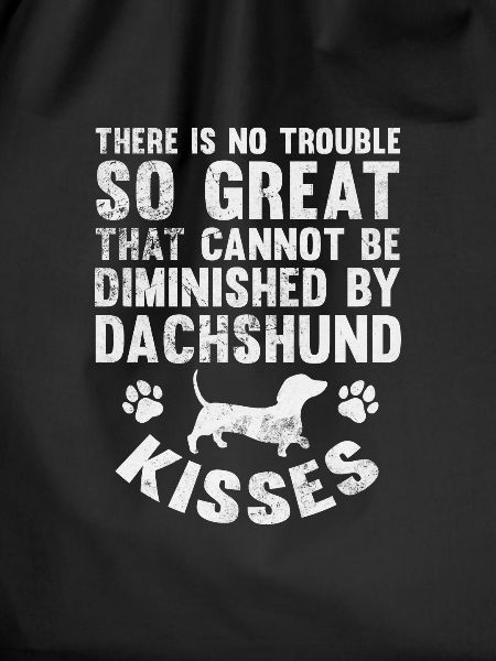 Dachshund