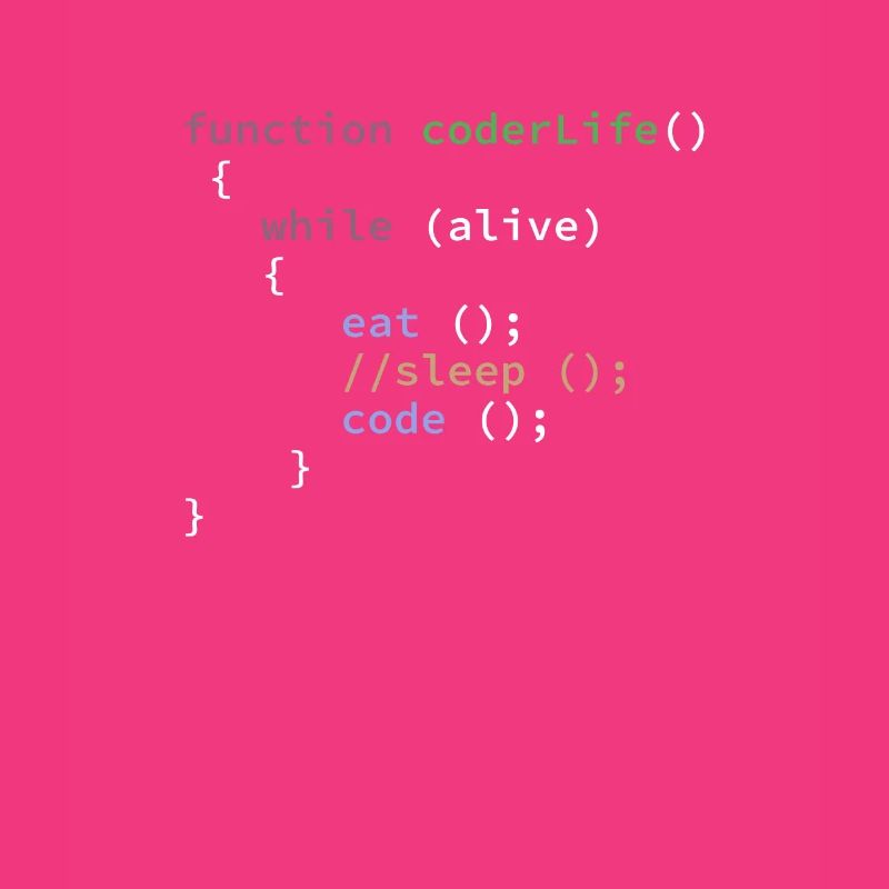 Funny Programmer Life Function