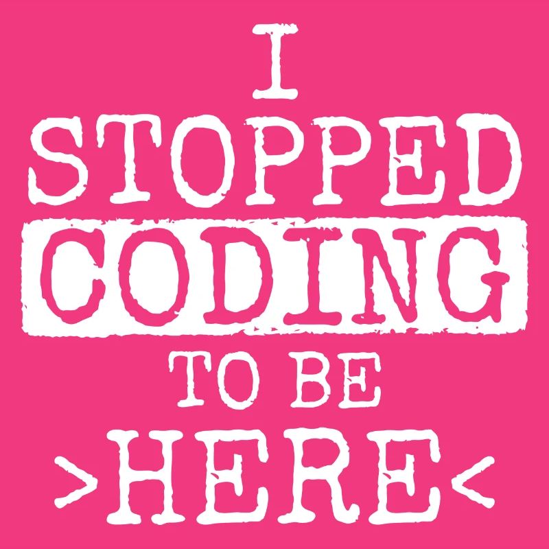 Software Ingenieur Informatiker Programmierer