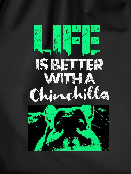 Chinchilla