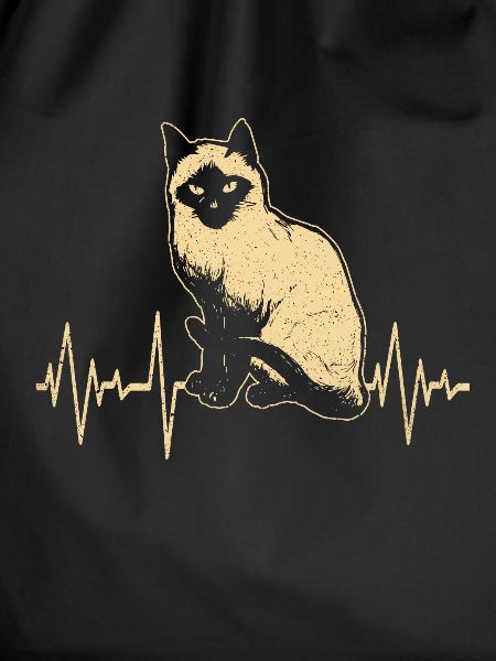 Siamese cat