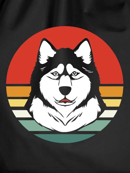 Malamute sled dog