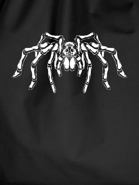 Spider lovers - big spider