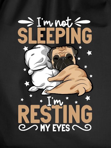 I don't sleep - pug
