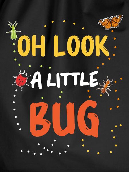 Insect Entomologist Biology