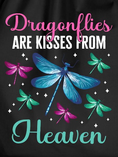 Dragonfly Dragonflies Insects Nature