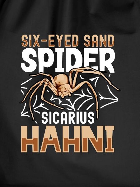 Six-eyed sand spider