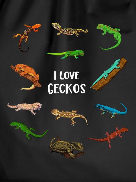 I love geckos