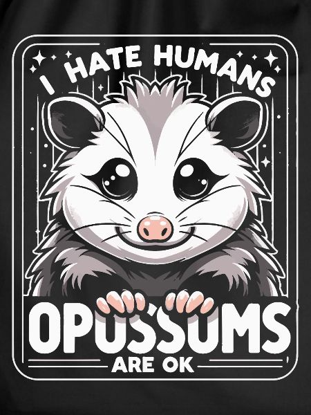 Opossum Possum Animal
