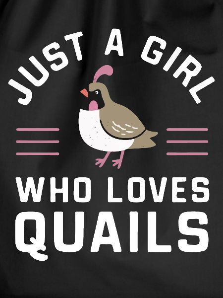 Quail Bird Quails