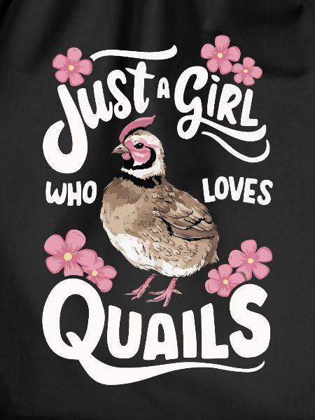 Quail Bird Quails
