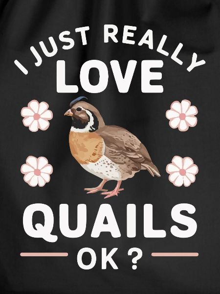 Quail Bird Quails