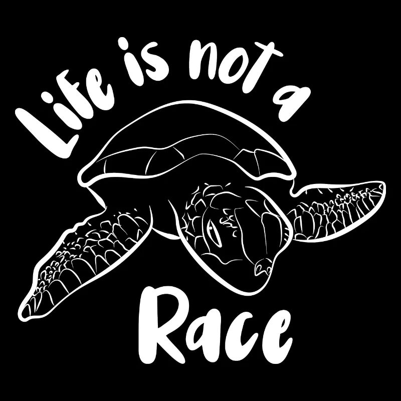 Turtle Turtle