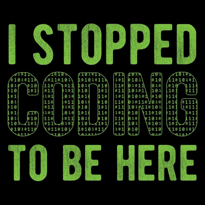 Software Ingenieur Informatiker Programmierer