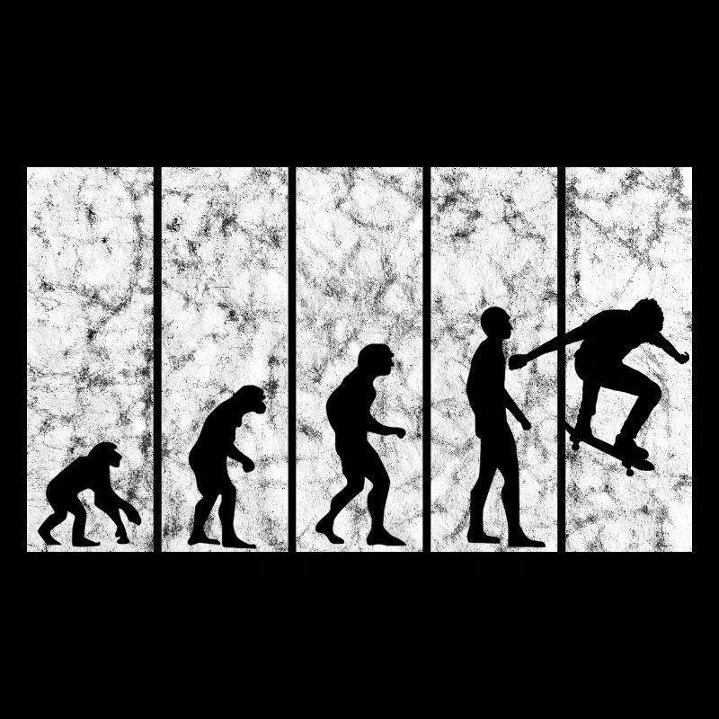 Skateboarder Skateboard Skater Skate Evolution