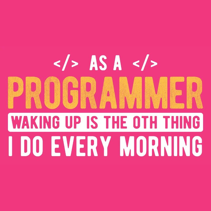 Software Ingenieur Informatiker Programmierer