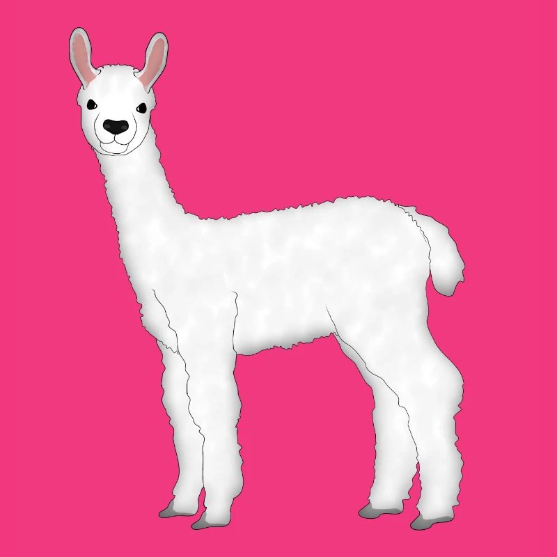 Alpaca 5