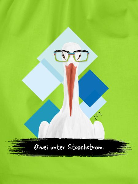 JvG Storch "Oiwei unter Stoachstrom."