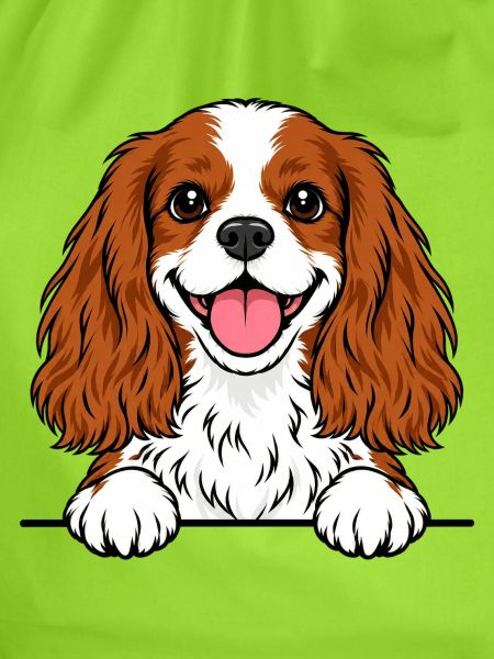 King Cavalier Spaniel