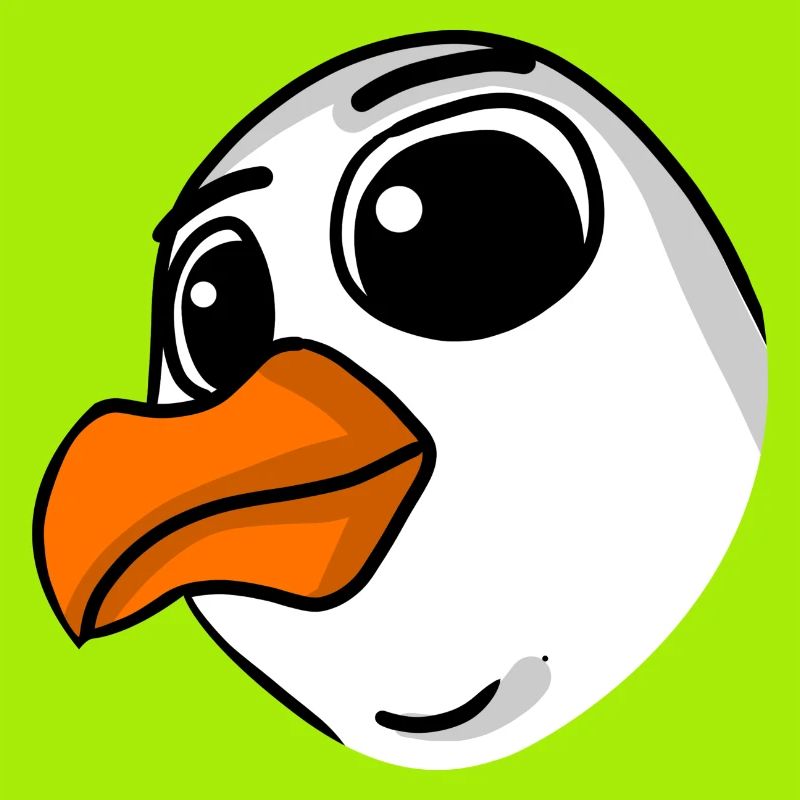 Möwe Kopf