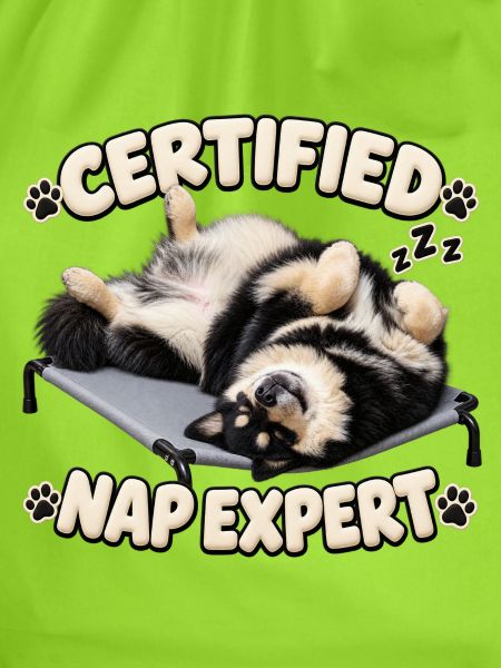 Zertifizierter Nickerchen-Experte – Finnischer Lapphund