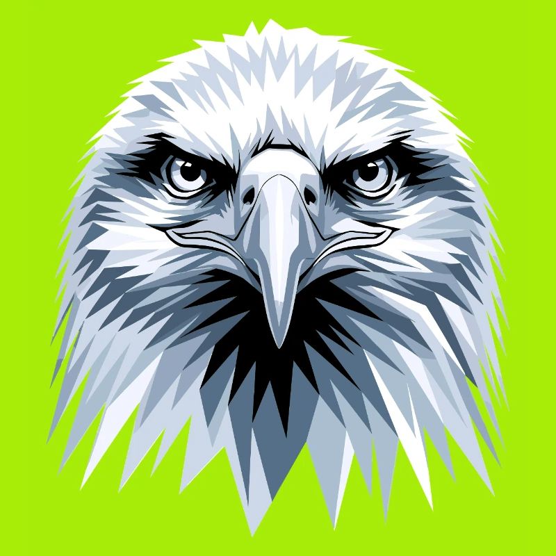 Eagle Bald Eagle Golden Eagle White-tailed Eagle