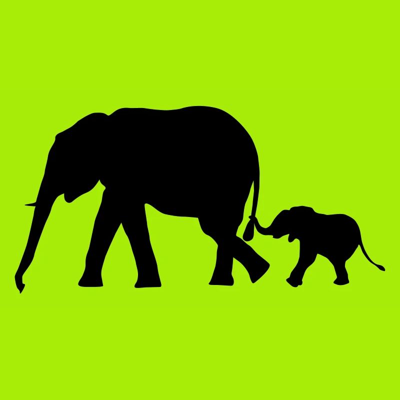 éléphants - elephant