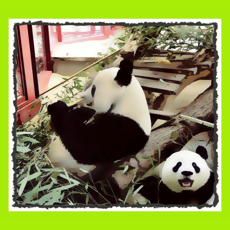 Mode Panda activé