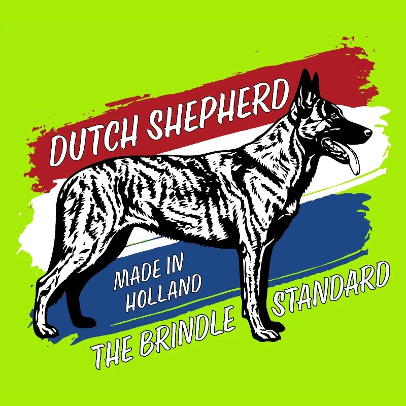 Dutch Shepherd – Dutchie