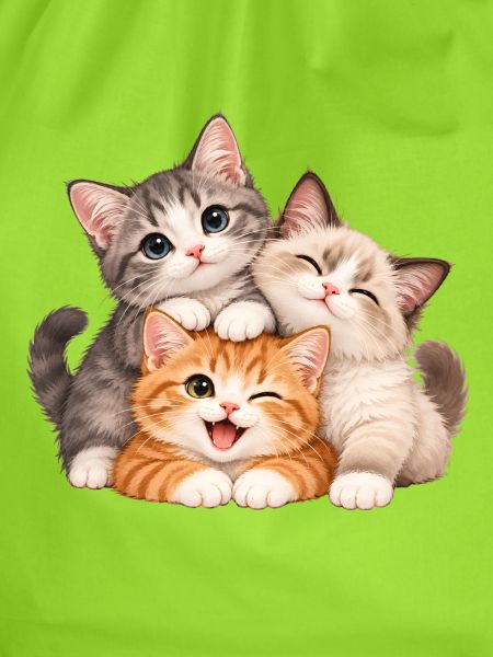Kätzchen Trio Kuschelfreude